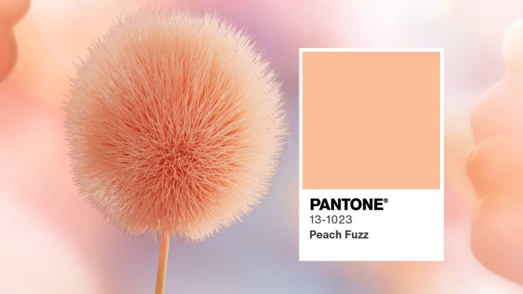 colore dell'anno 2024 pantone peach fuzz